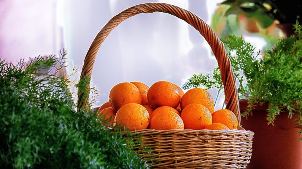 Citrus Plant, Citrus Plant Diseases