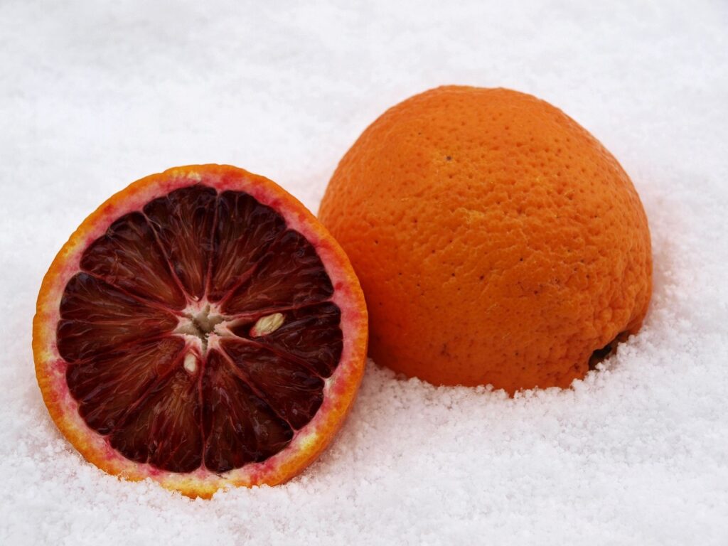Blood Red Oranges