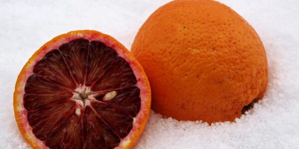 Blood Red Oranges